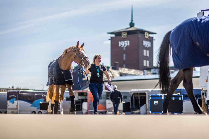 Grooms arriving at the Dutch Masters (Photo: The Dutch Masters Media)