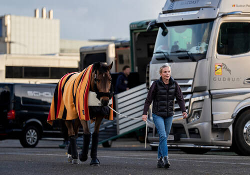 Kent Farrington's horse, ©Rolex Grand Slam/Tom Lovelock