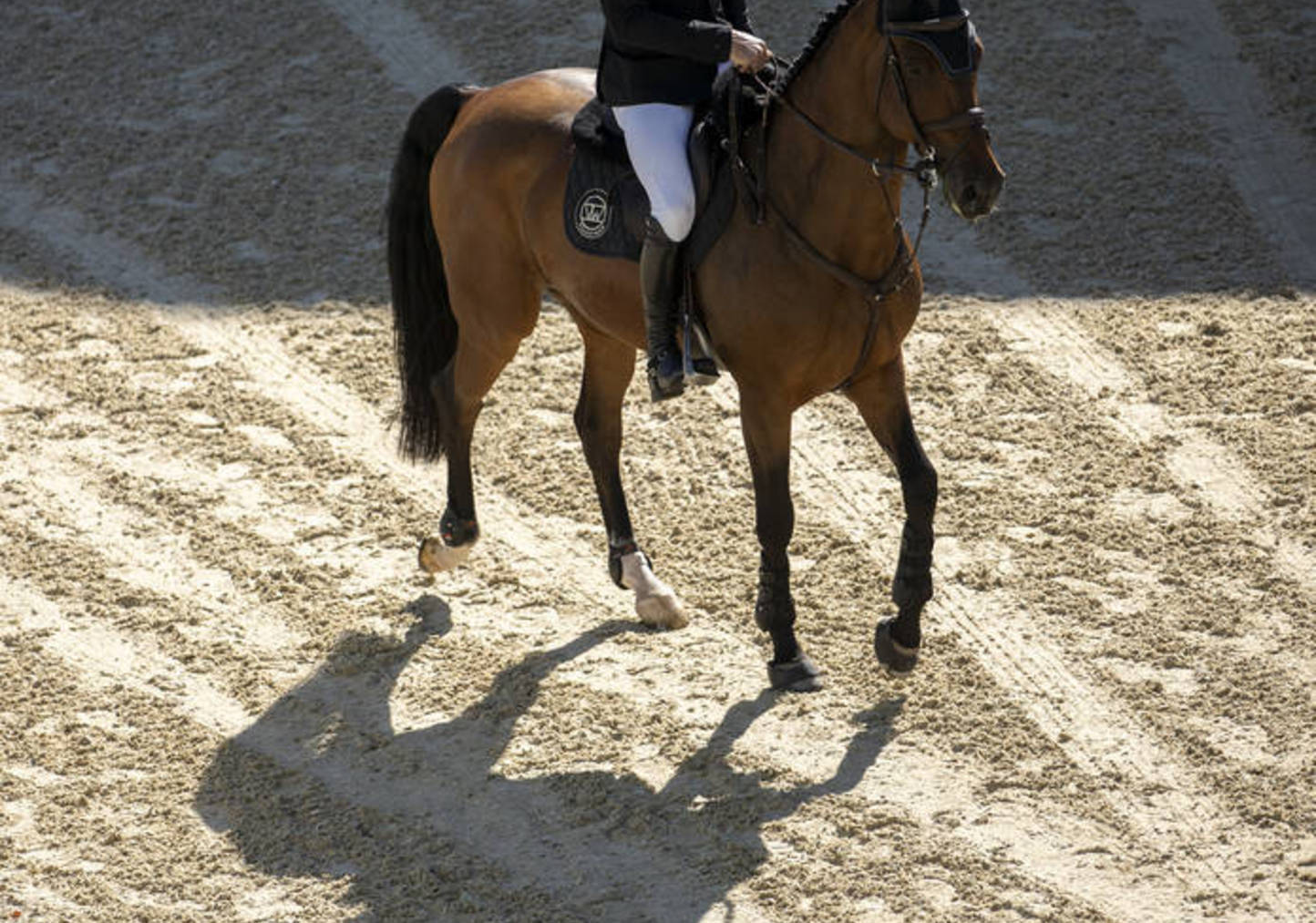 Behind the Scenes at Spruce Meadows 'Masters' 2024