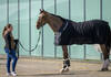Contending Grand Slam horse, Monaco arrives at the Dutch Masters