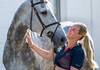 Horse of Scott Brash (GBR) at the Horse Inspection Area