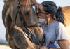 A Horse and groom at the Horse Inspection Area