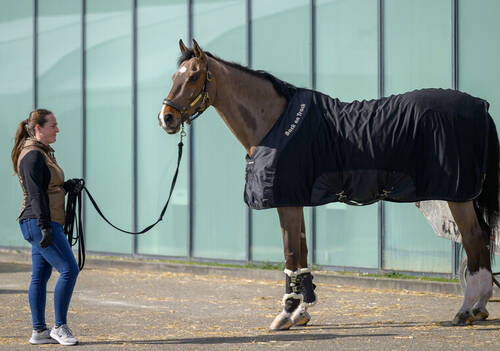 Contending Grand Slam horse, Monaco arrives at the Dutch Masters