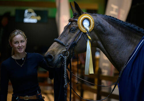 United Touch S wears winners rose following VDL Groep Prize CSI5*