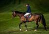Martin Fuchs riding Conner JEI (Photo: Rolex Grand Slam / Ashley Neuhof)