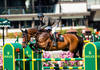 Eric Lamaze and Kino (Photo: Rolex Grand Slam / Ashley Neuhof)