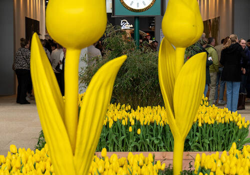 Rolex Clocks and Signage, ©Rolex Grand Slam/Tom Lovelock