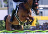 (Photo: Rolex Grand Slam / Peggy Schröder)