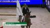 Pieter Devos with Casual Dv Z - CSI5* The Dutch Masters 2025 - Round 1