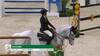 Kim Emmen with Imagine - CSI5* The Dutch Masters 2025 - Round 1