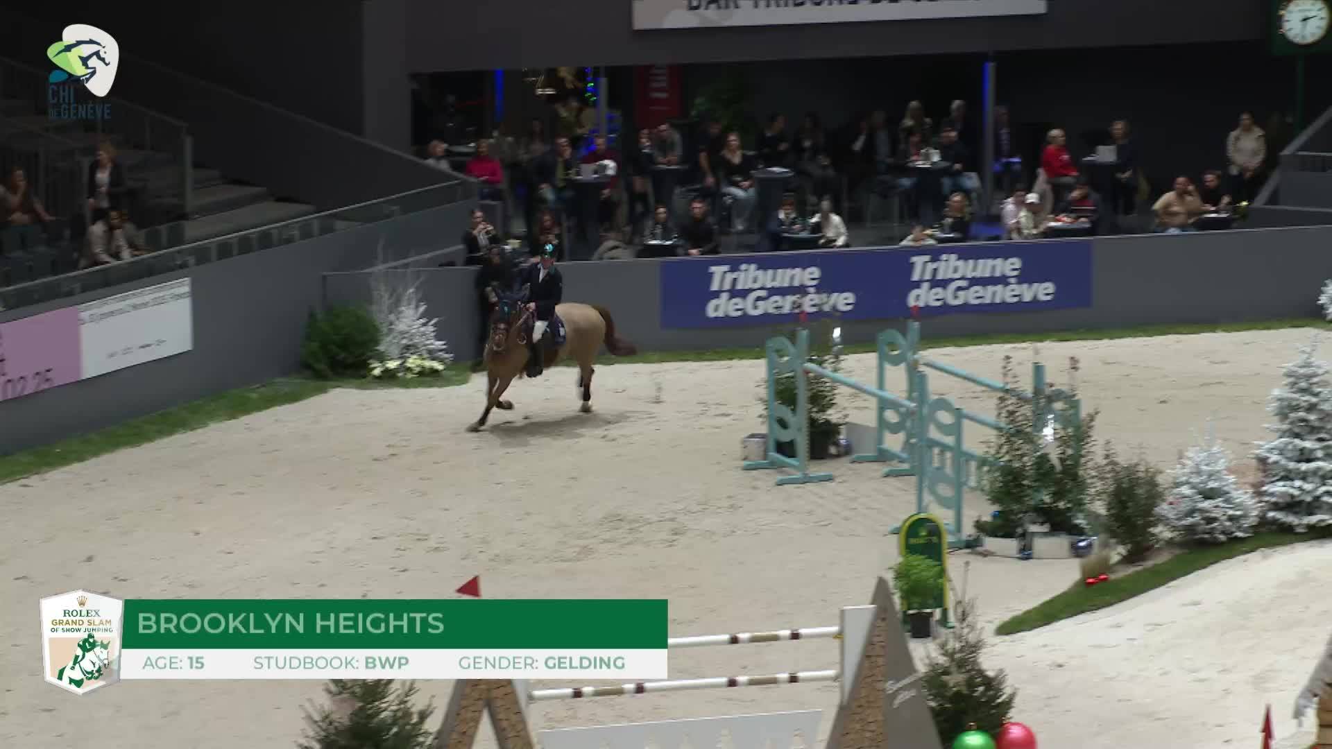 Christian Kukuk with Checker 47 - CSIO5* Aix-la-Chapelle 2025 - Round 1