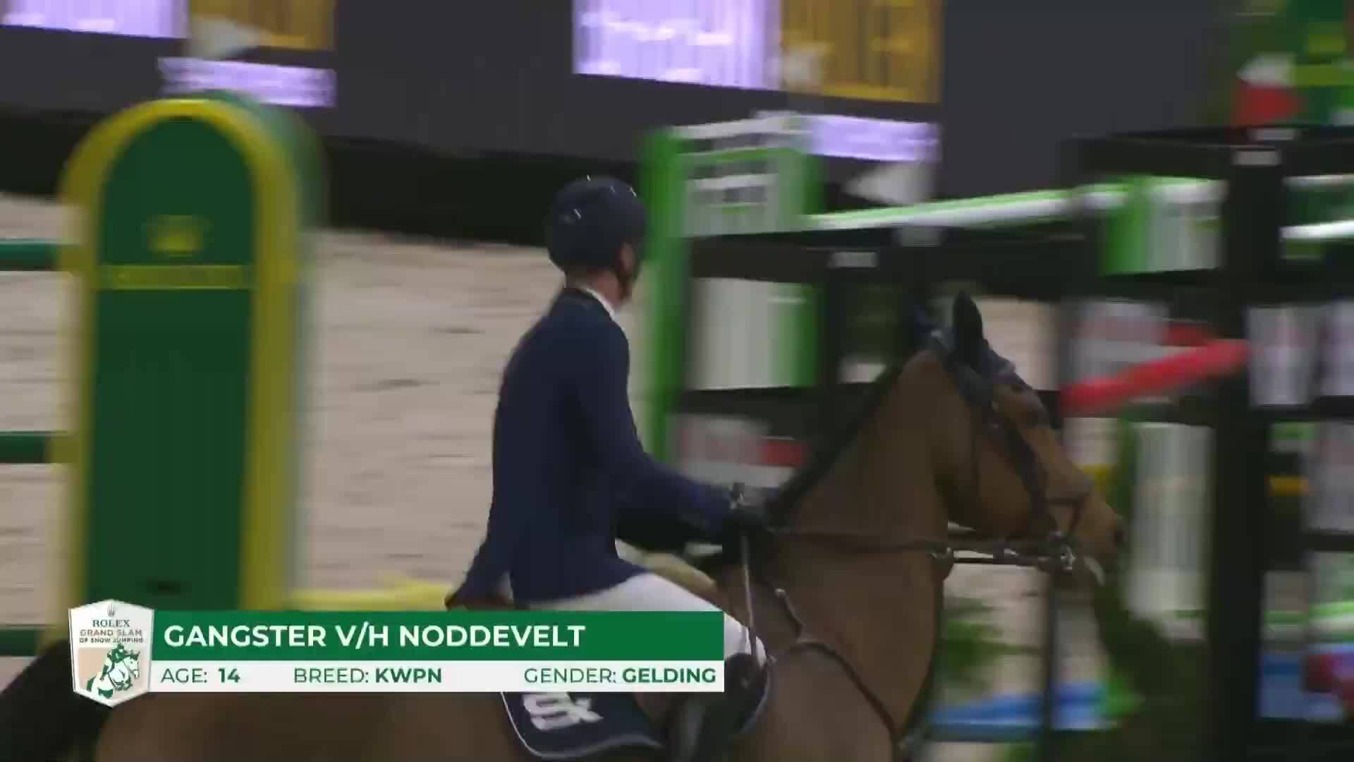 Nina Mallevaey with Dynastie de Beaufour - CSIO5* Aix-la-Chapelle 2025 - Round 1