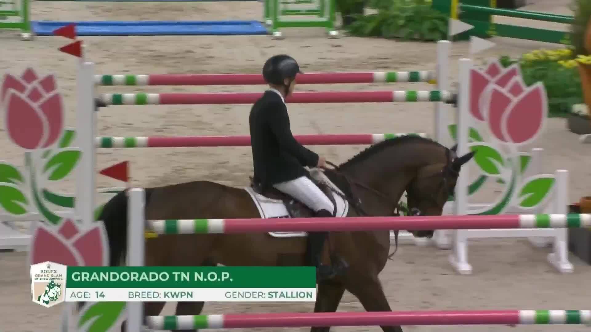 Willem Greve with Grandorado Tn N.O.P. - CSI5* The Dutch Masters 2025 - Round 1