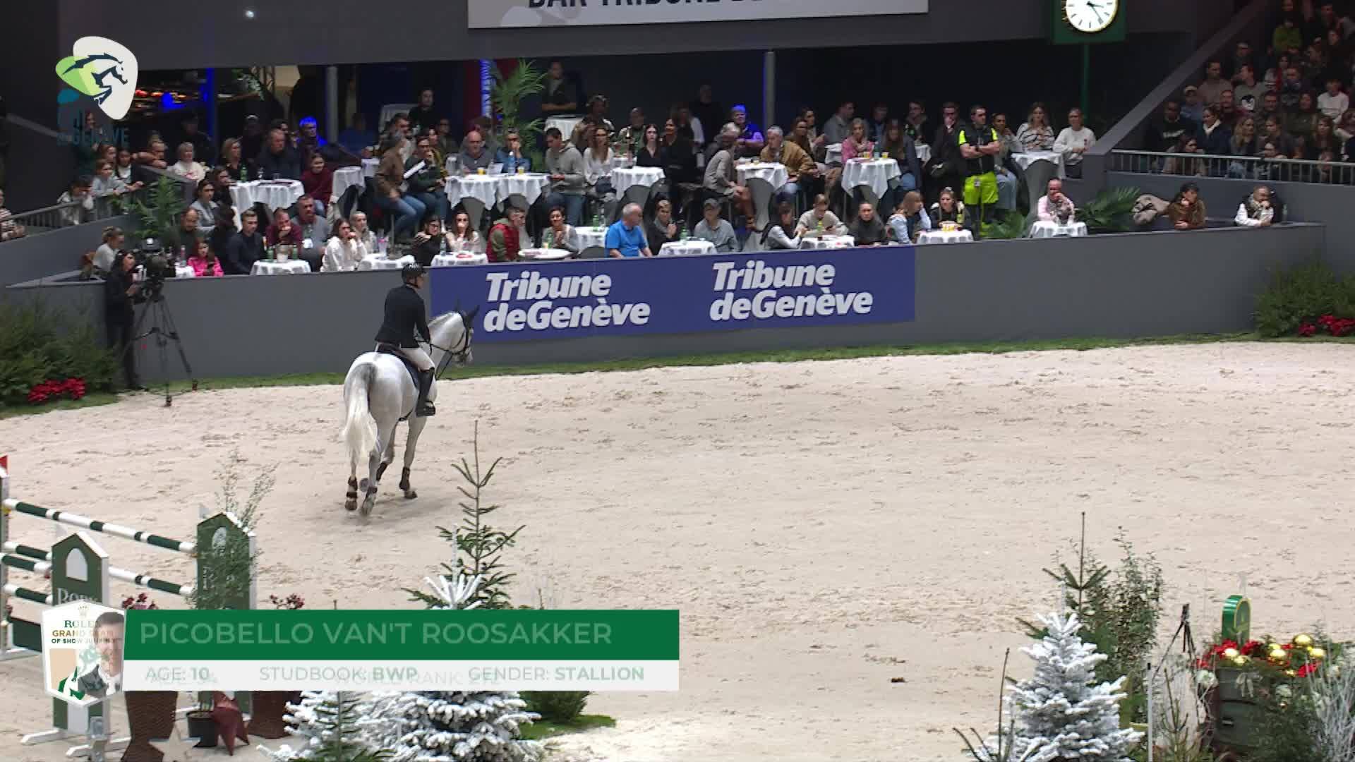 Jason Smith with Picobello Van't Roosakker - CHI5* de Genève 2025 - Round 1