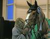 Ruth Krech und Pret a Tout (Photo: World of Show Jumping / Jenny Abrahamsson)