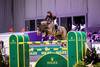 Photo: Rolex Grand Slam / Ashley Neuhof