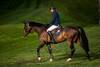 Martin Fuchs riding Conner JEI (Photo: Rolex Grand Slam / Ashley Neuhof)