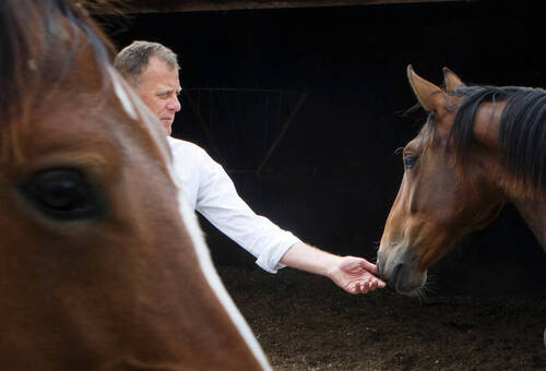 (Photo: Dirk Caremans / Hippofoto)