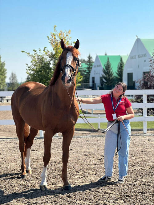 Marine Renaudet - groom