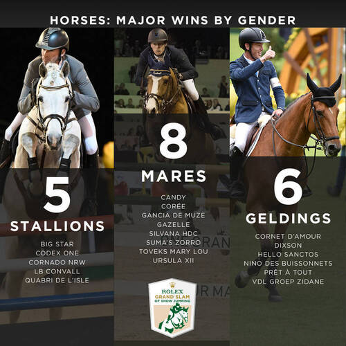 Der Nachwuchs welcher Zuchthengste war in den letzten vier Majors (von Spruce Meadows 2018 bis CHIO Aachen 2019) am Start?