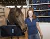 Joanne Sloan-Allen mit Suma's Zorro (Photo: Rolex Grand Slam / Kit Houghton)