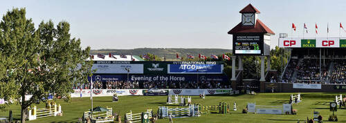 The international ring