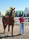 Marine Renaudet - groom