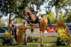 Photo credits : Rolex Grand Slam / Ashley Neuhof